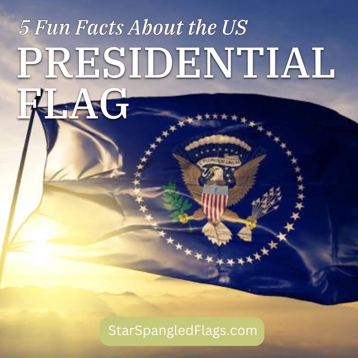 5 Fun Facts About the US Presidential Flag