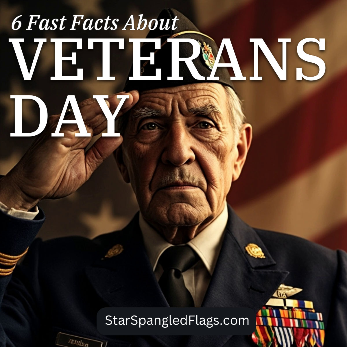 6 Fast Facts About Veterans Day