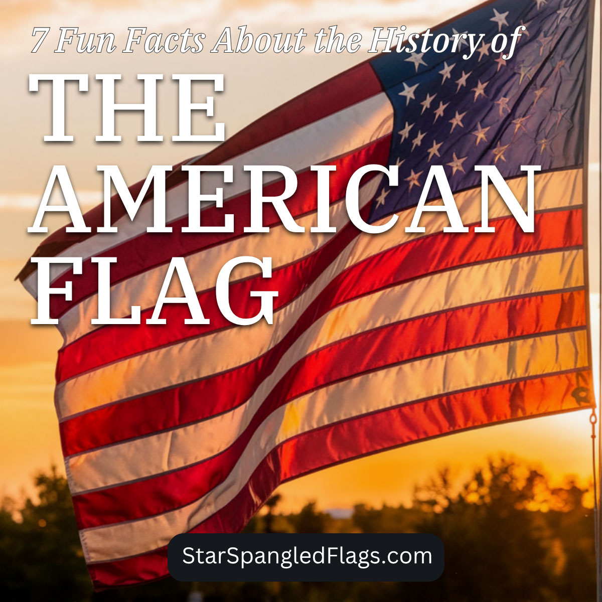 7 Fun Facts About the History of the American Flag