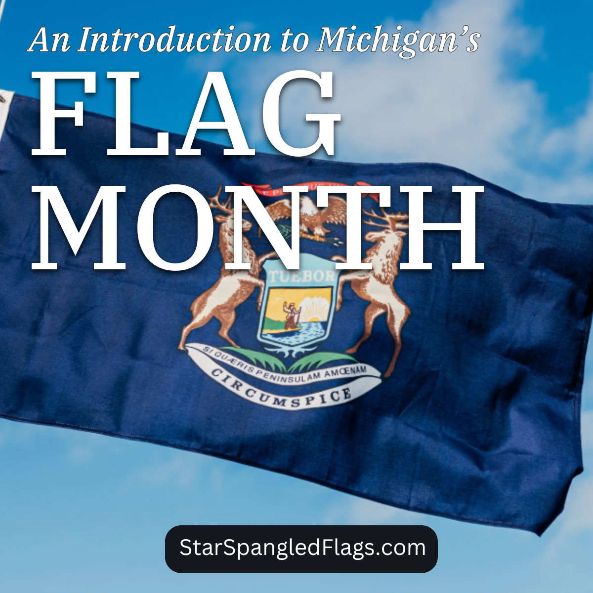 An Introduction to Michigan’s Flag Month