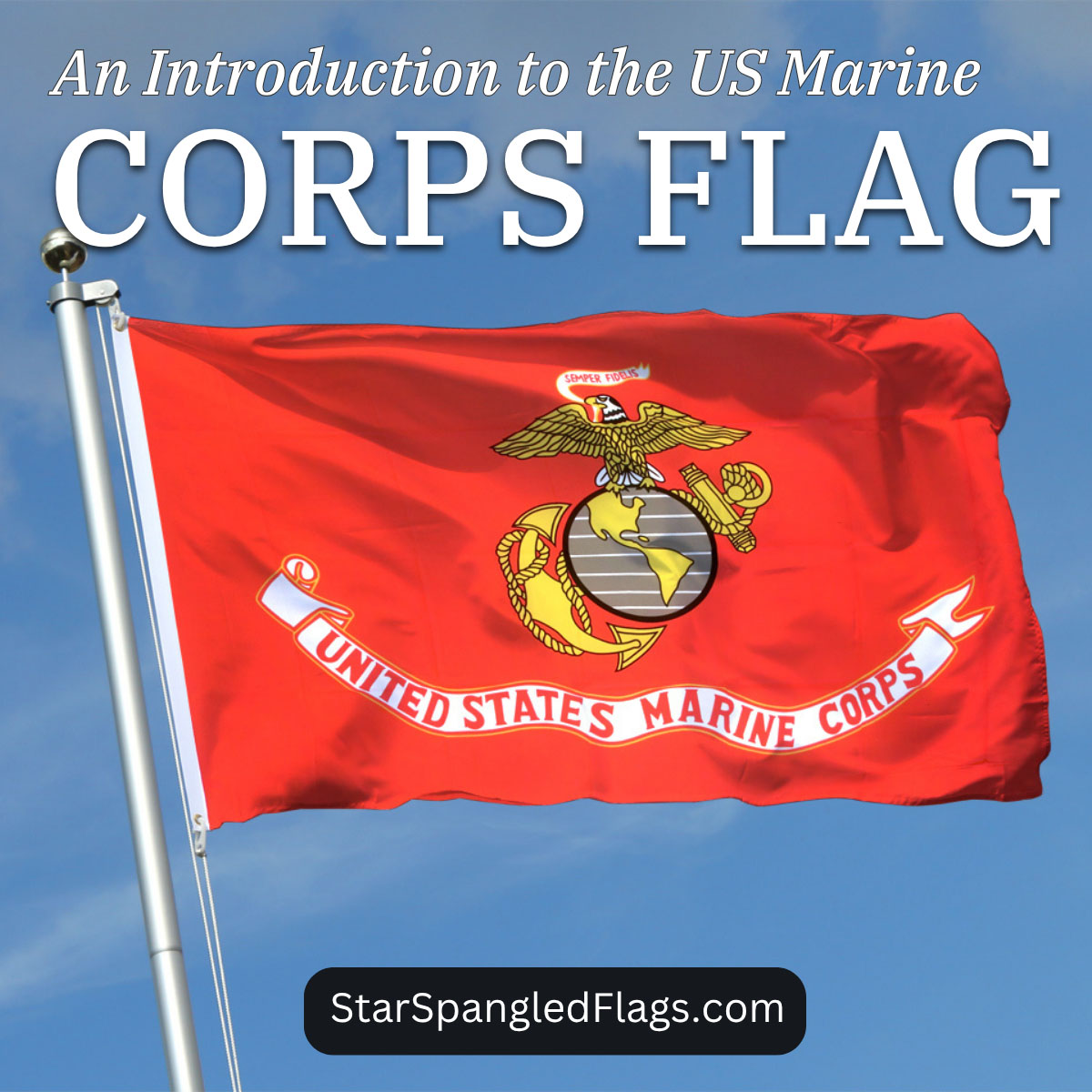 An Introduction to the US Marine Corps Flag