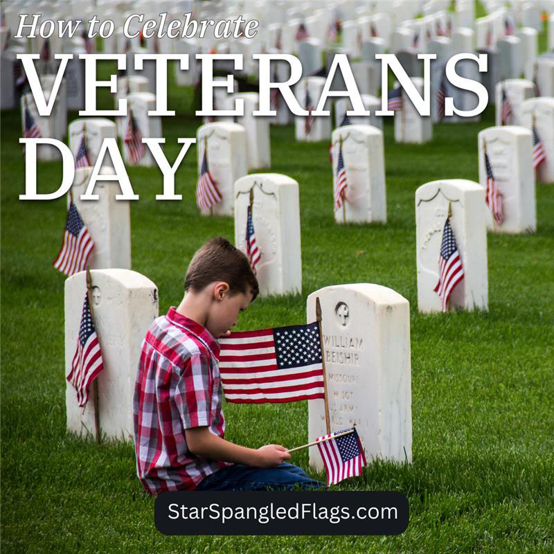 How to Celebrate Veterans Day