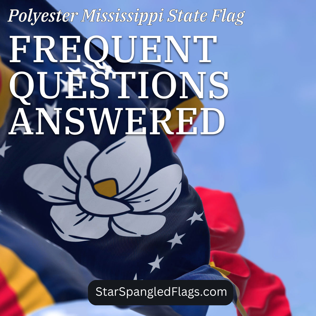 Polyester Mississippi State Flag Frequent Questions Answered