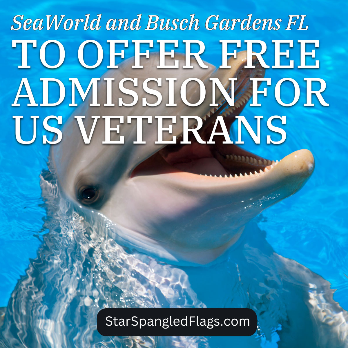 SeaWorld and Busch Gardens FL to Offer Free Admission for US Veterans
