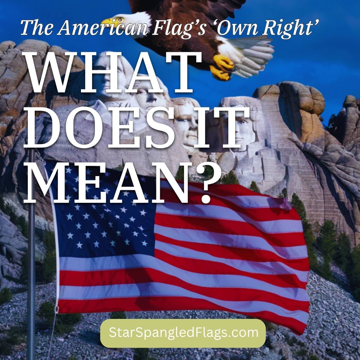 The American Flag’s ‘Own Right’ — What Does It Mean