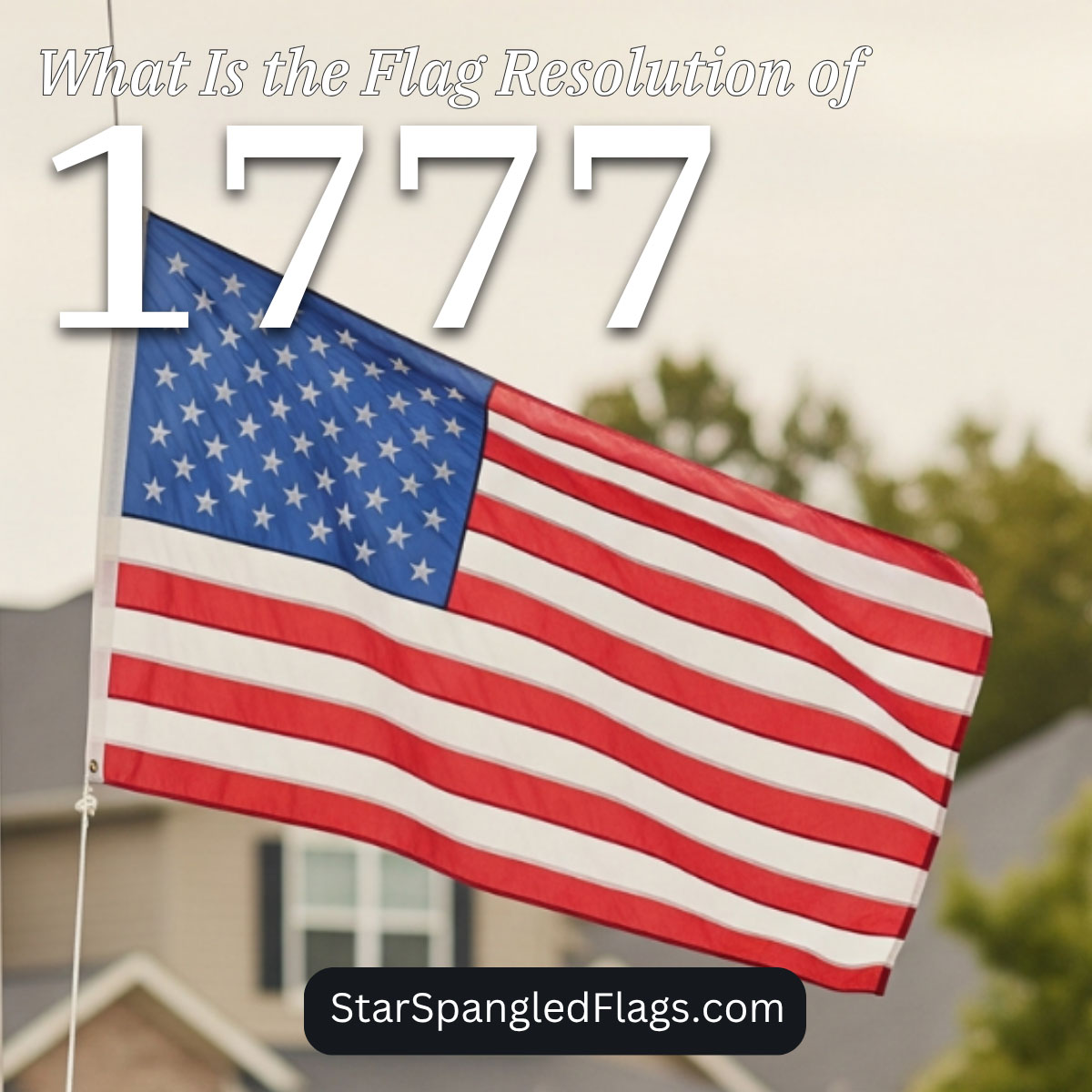 What Is the Flag Resolution of 1777