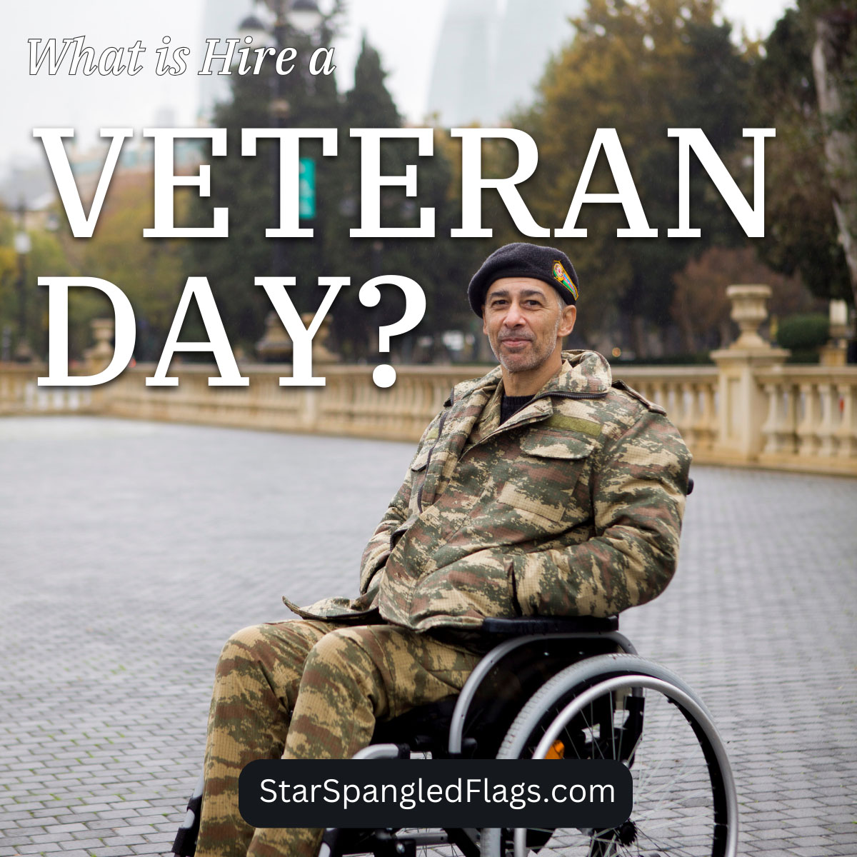 What is Hire a Veteran Day