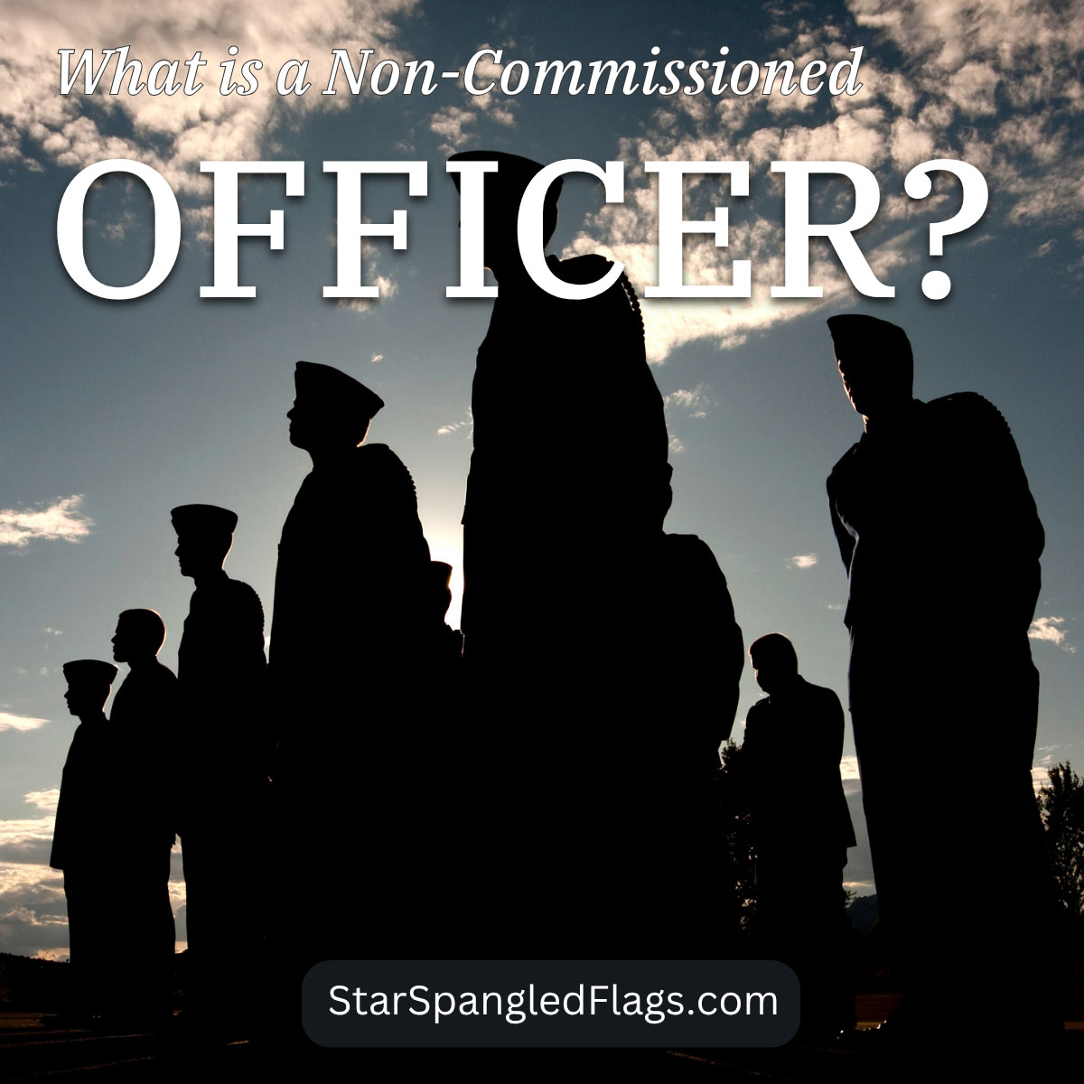 What is a Non-Commissioned Officer