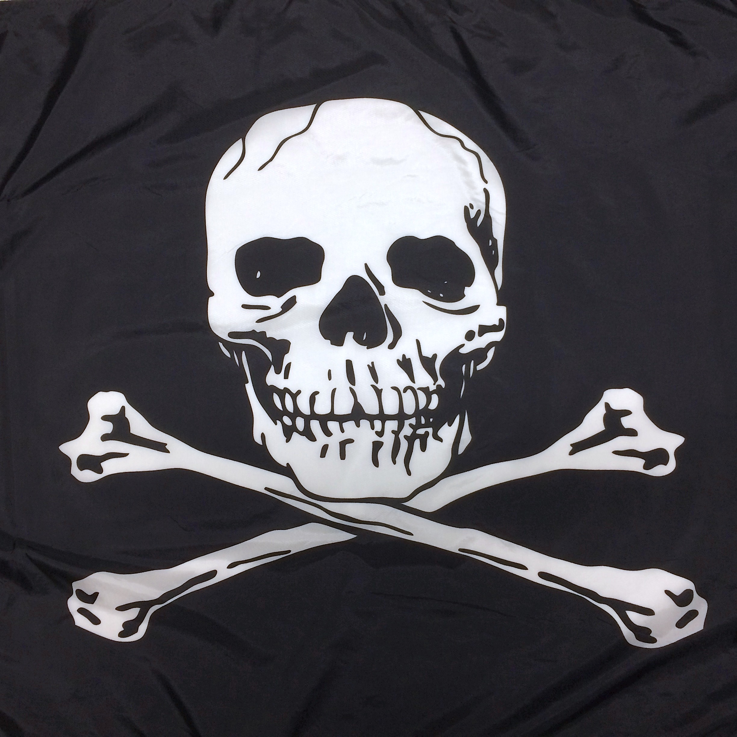 Pirate Flags: Ten Things You Probably Didn't Know