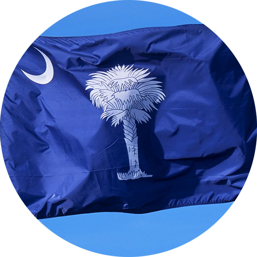 Flag of South Carolina - StarSpangledFlags.com